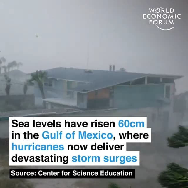 墨西哥湾的海平面上升了60厘米，飓风伴着风暴潮足以摧毁一切