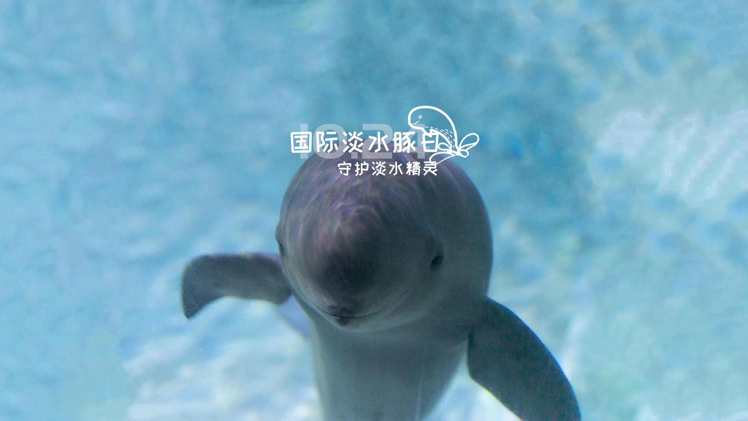 International Freshwater Dolphin Day
