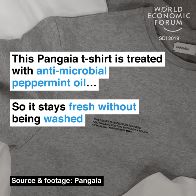 Pangaia（品牌）的这款T恤采用抗菌薄荷油处理，因此不洗也可以保持干净