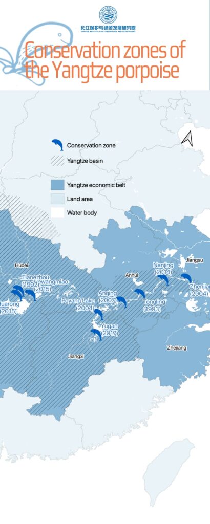 Conservation zones the Yangtze porpoise