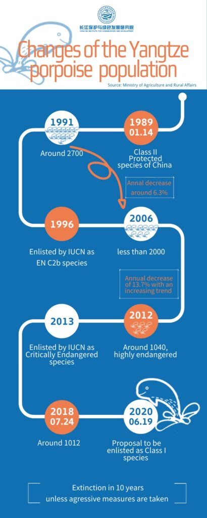 Changes of the Yangtze porpoise population