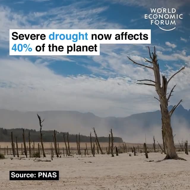全球40%的区域处于严酷的干旱之下