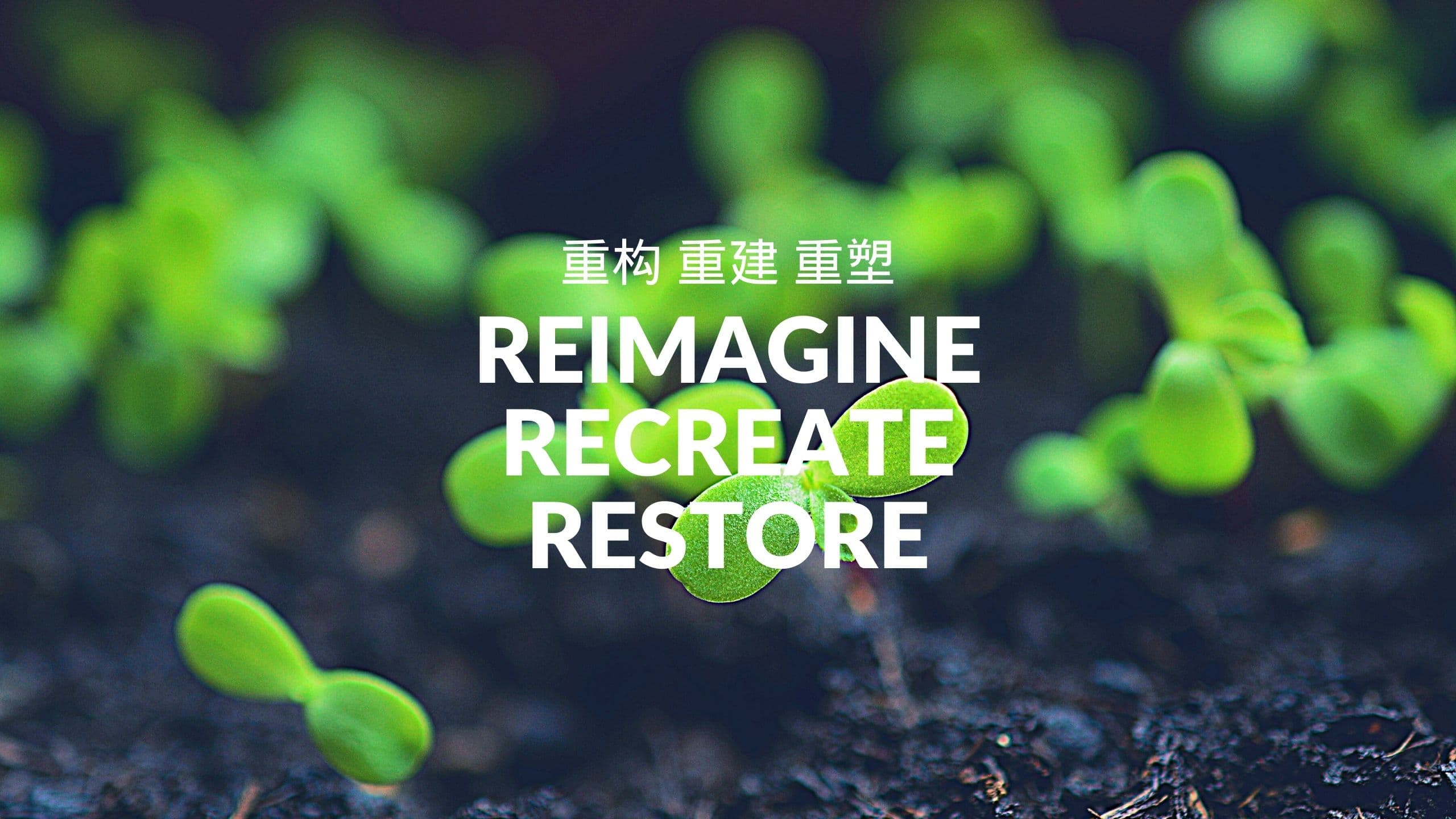 2021 World Environment Day: Reimagine Recreate Restore