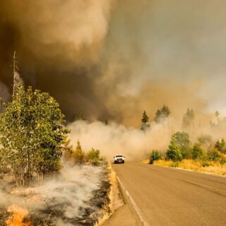 A wildfire in Massachusetts, United States