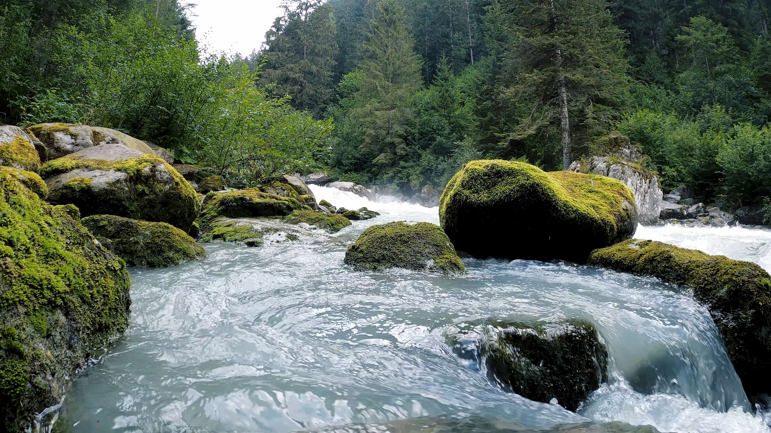 A flowing river