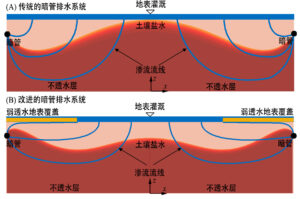 土壤淋洗概念模型