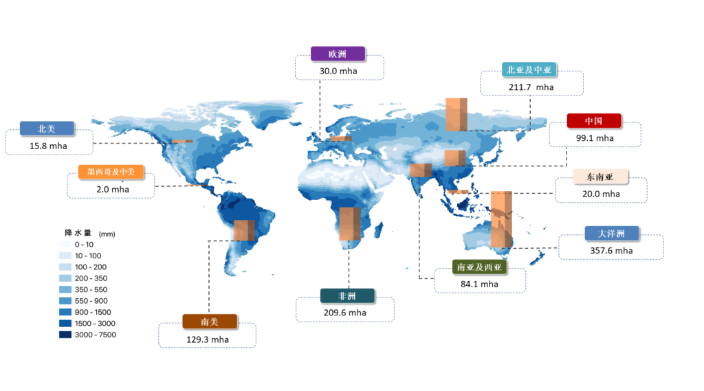 全球降水量及盐碱地分布